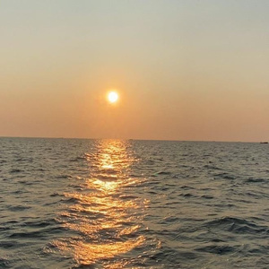 高请无码一区AAA片毛片
