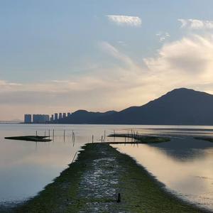 高请无码一区AAA片毛片
