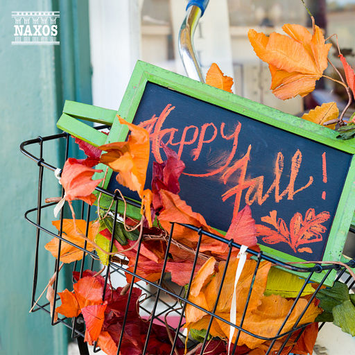 高请无码一区AAA片毛片
